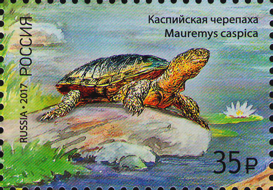 Марки для конвертов купить